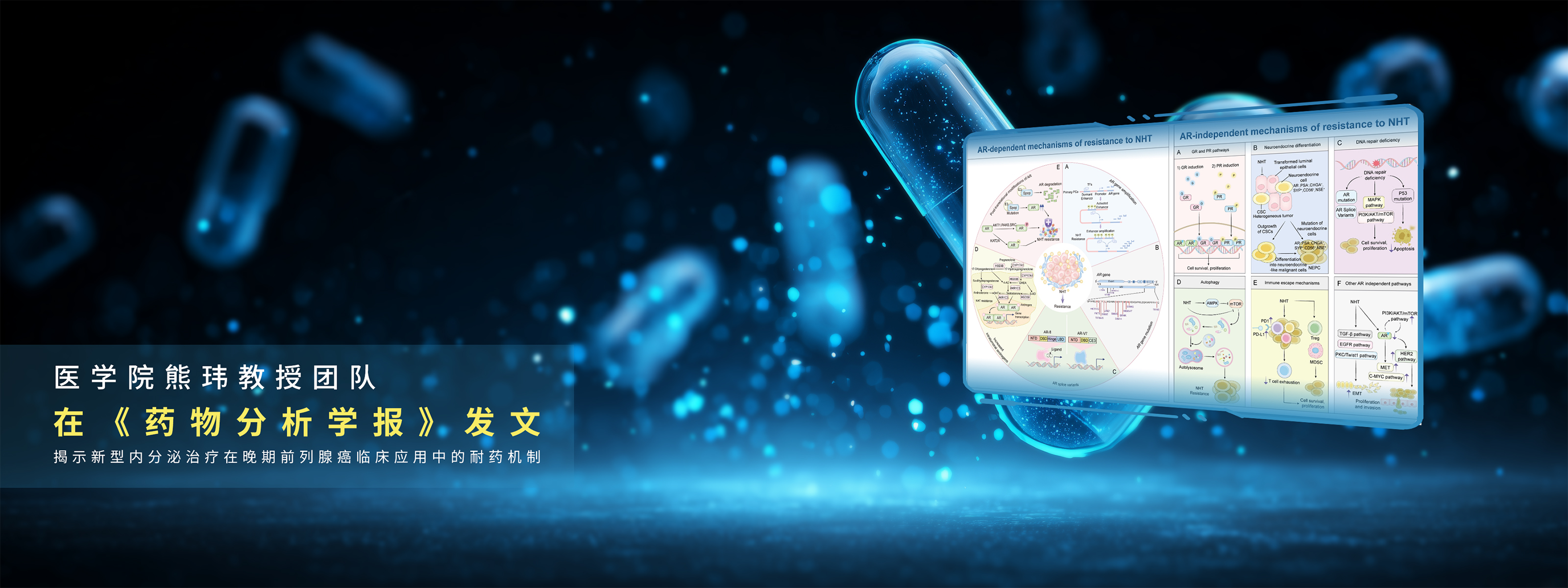 电子科技大学 UESTC