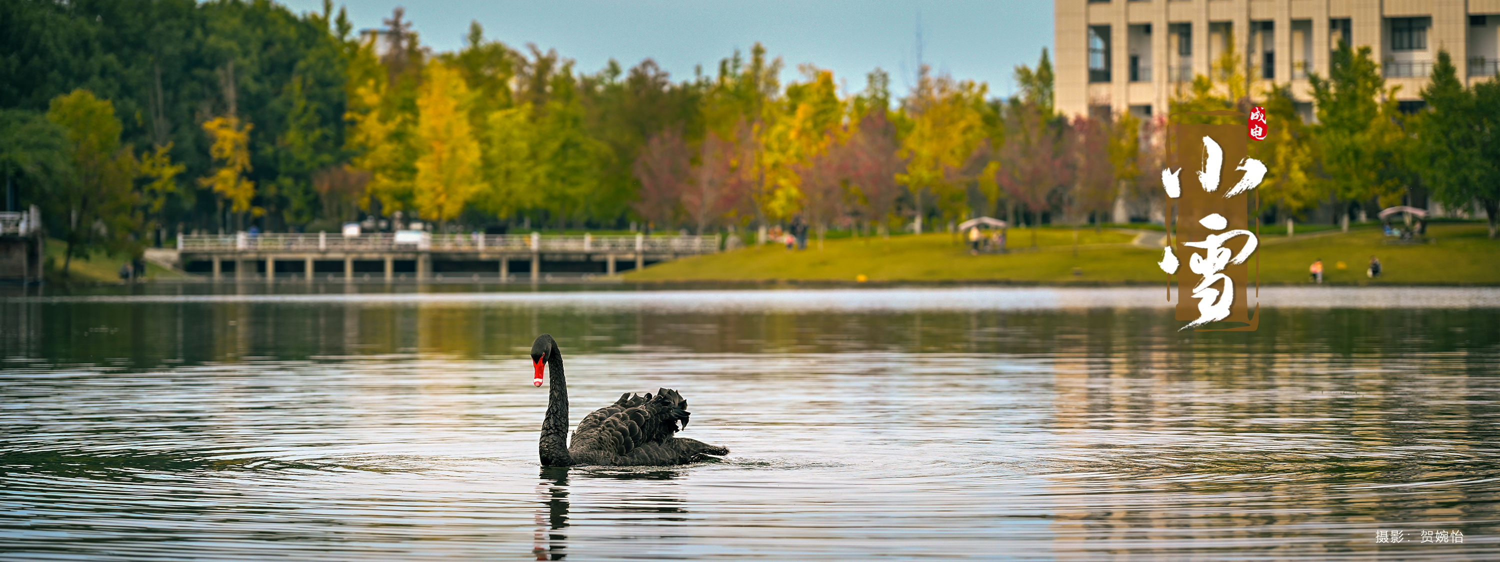 电子科技大学 UESTC