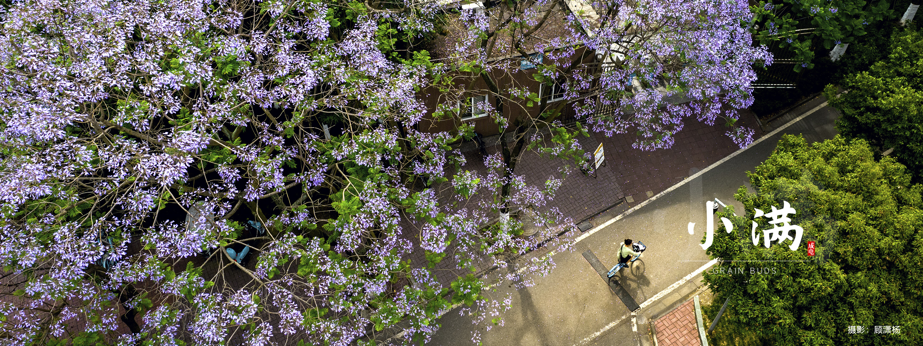 电子科技大学 UESTC