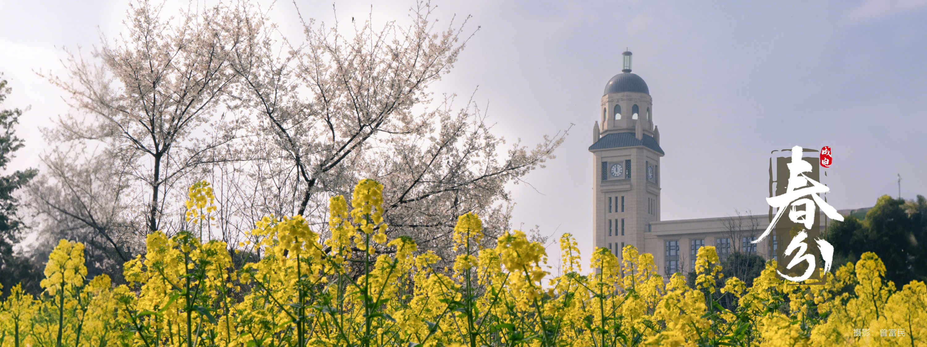 电子科技大学 UESTC