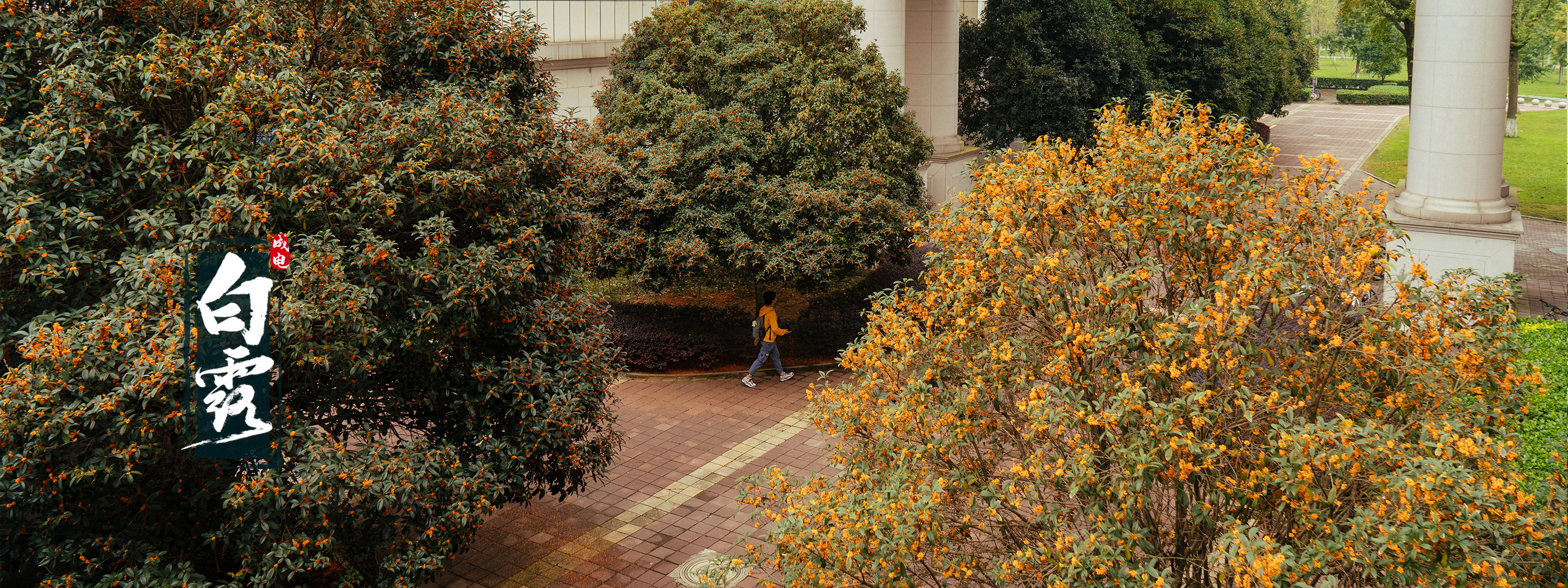 电子科技大学 UESTC