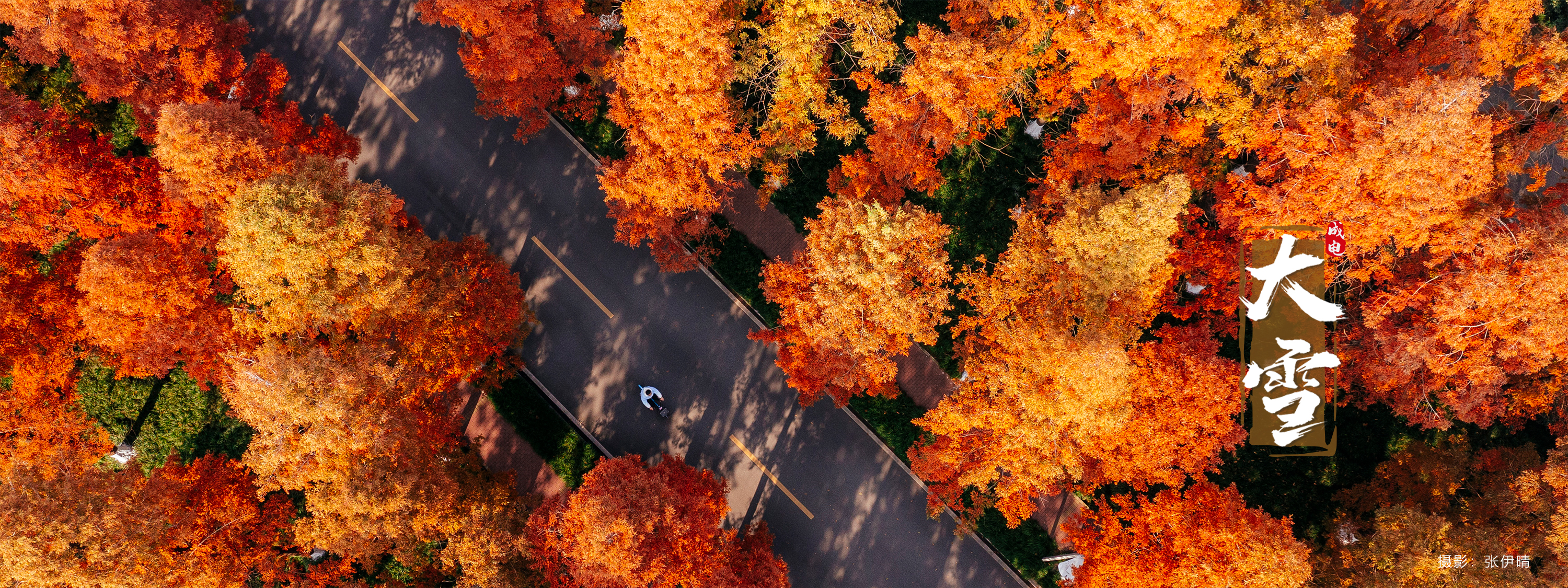 电子科技大学 UESTC