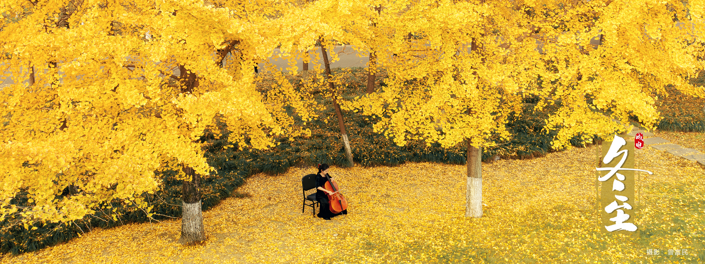 电子科技大学 UESTC