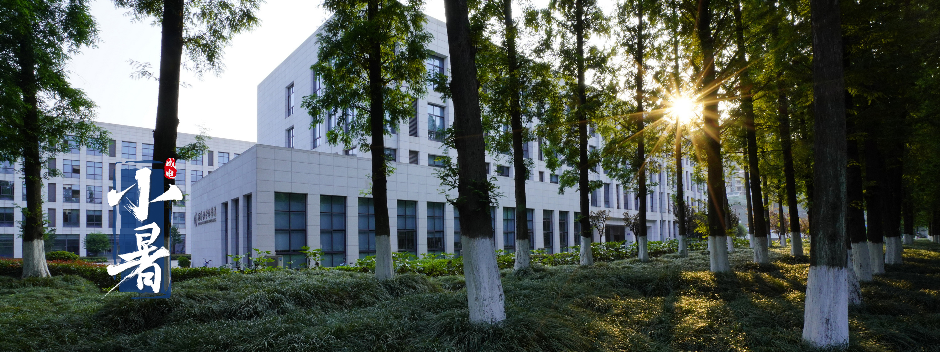 电子科技大学 UESTC